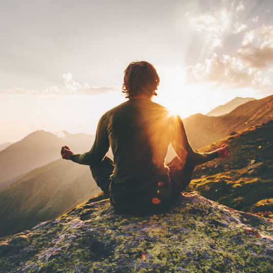 Relax and revive with Rhodiola the herbal stress buster!