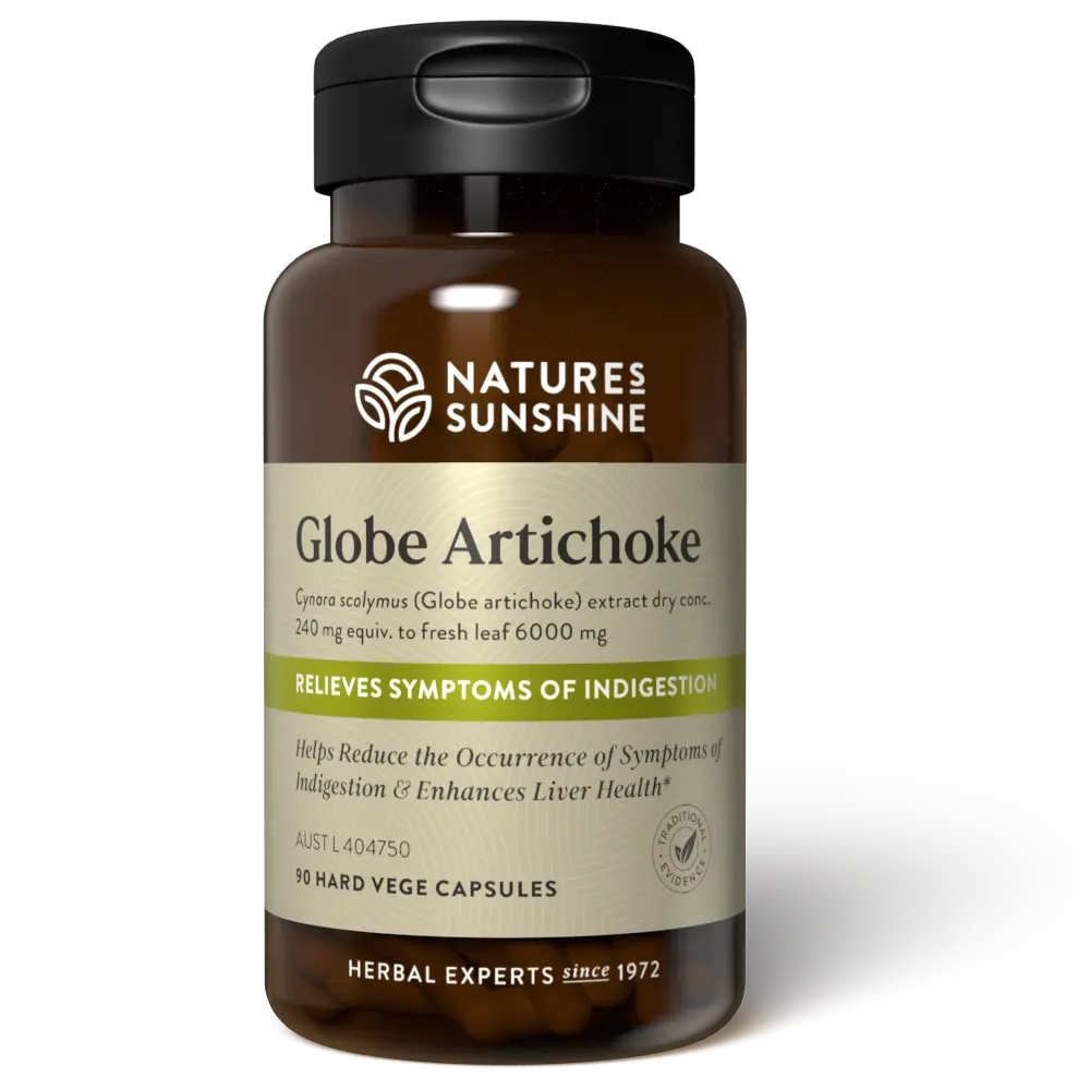 Globe Artichoke