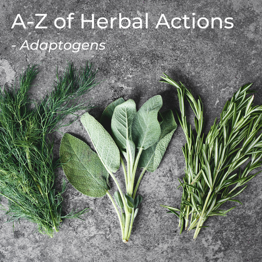 The A-Z of Herbal Actions: Adaptogens