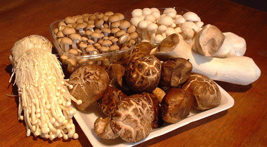 Naturopath Tip - Eat More Mushrooms