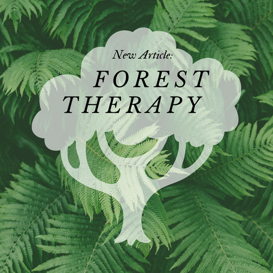 Forest Therapy