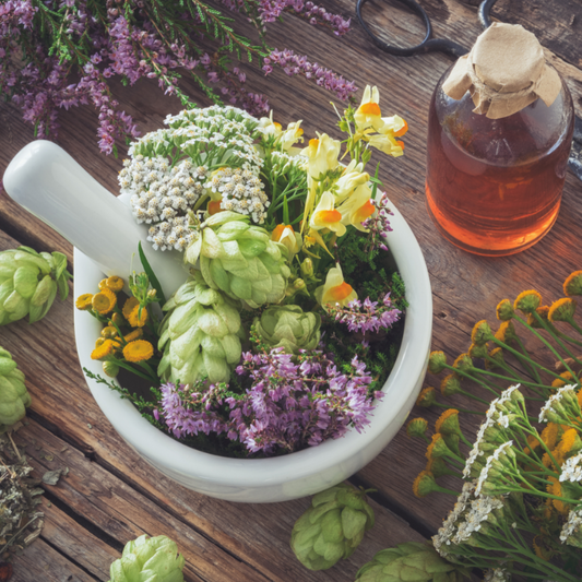 Choosing the best herbal preparation.
