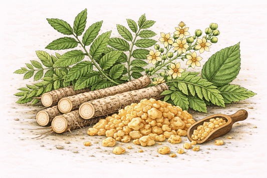 Herbal Spotlight: Boswellia