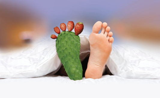 Gout: Causes, Symptoms & Natural Herbal Support