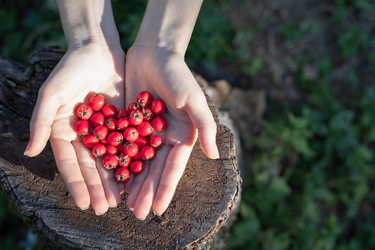 Did you know that your heart is the hardest working organ?