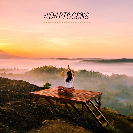 How do Adaptogens work?