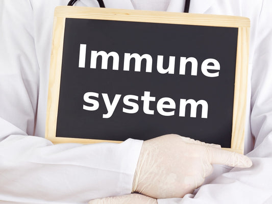 Supporting the Immune System