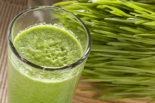 Why you should drink liquid chlorophyll!