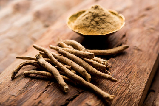 Withania (Ashwagandha): Traditional Nervous System Support