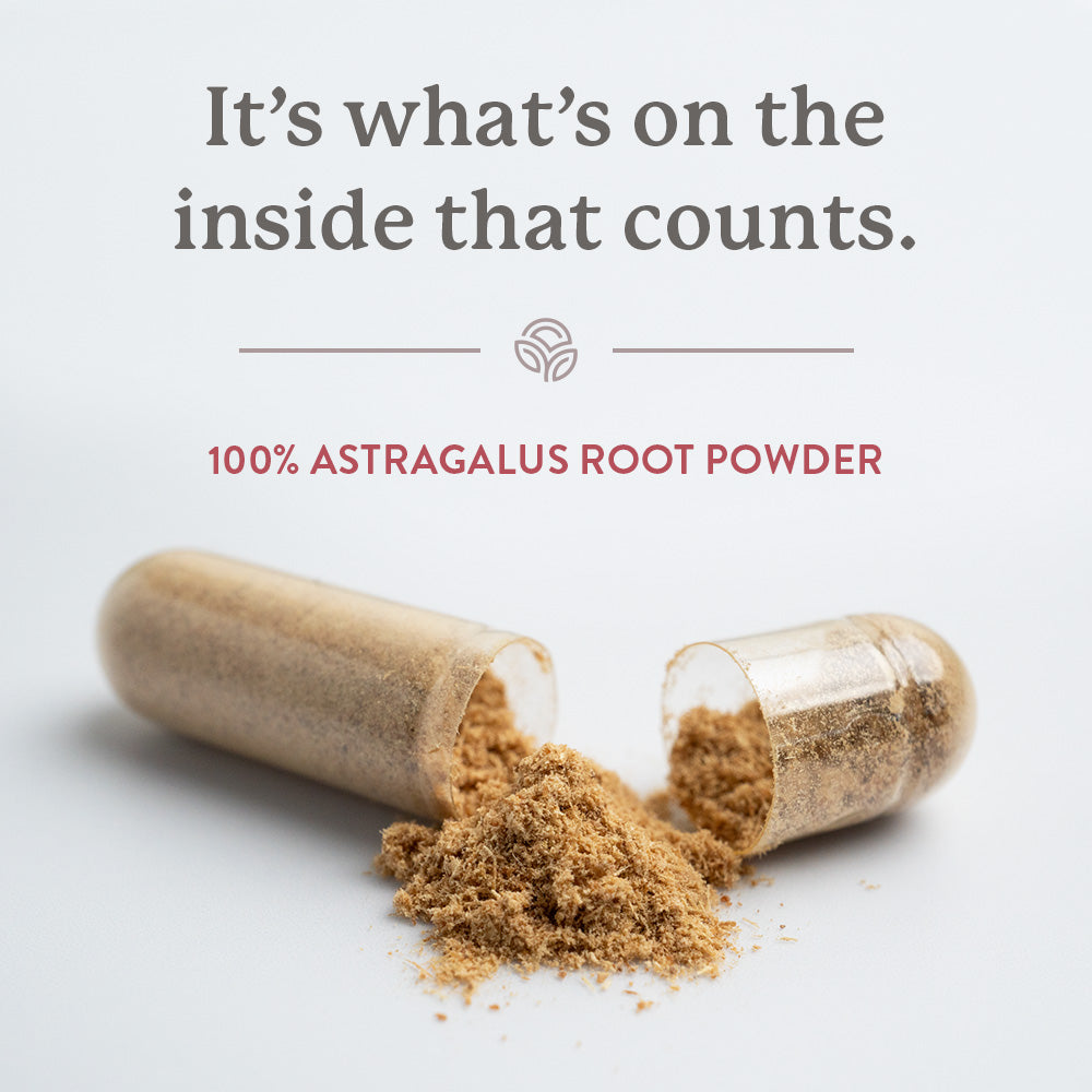 Astragalus