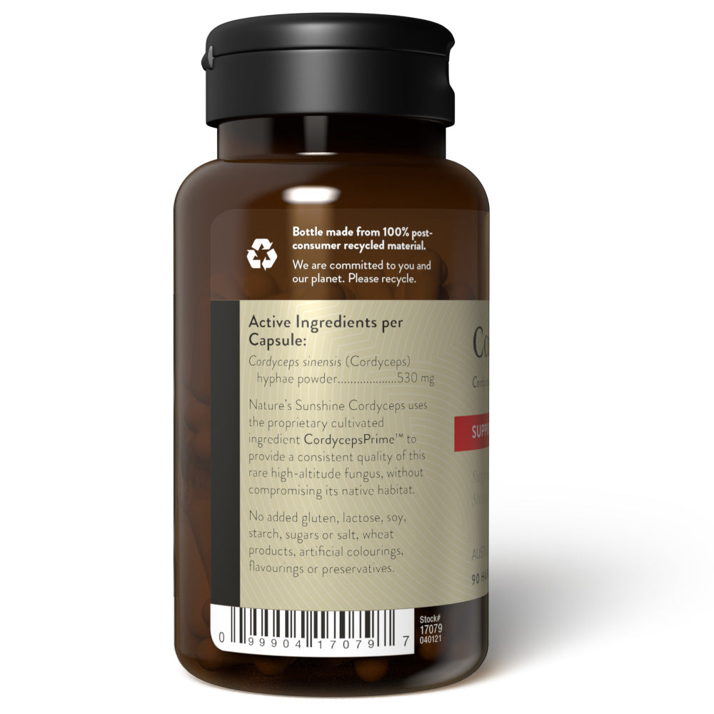 Cordyceps