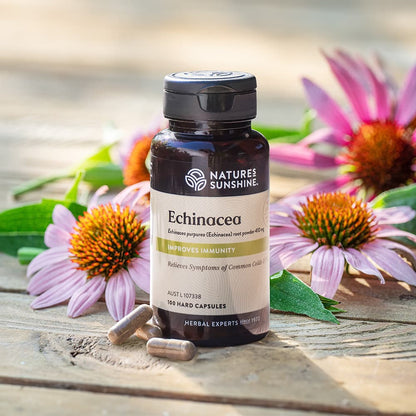 Echinacea