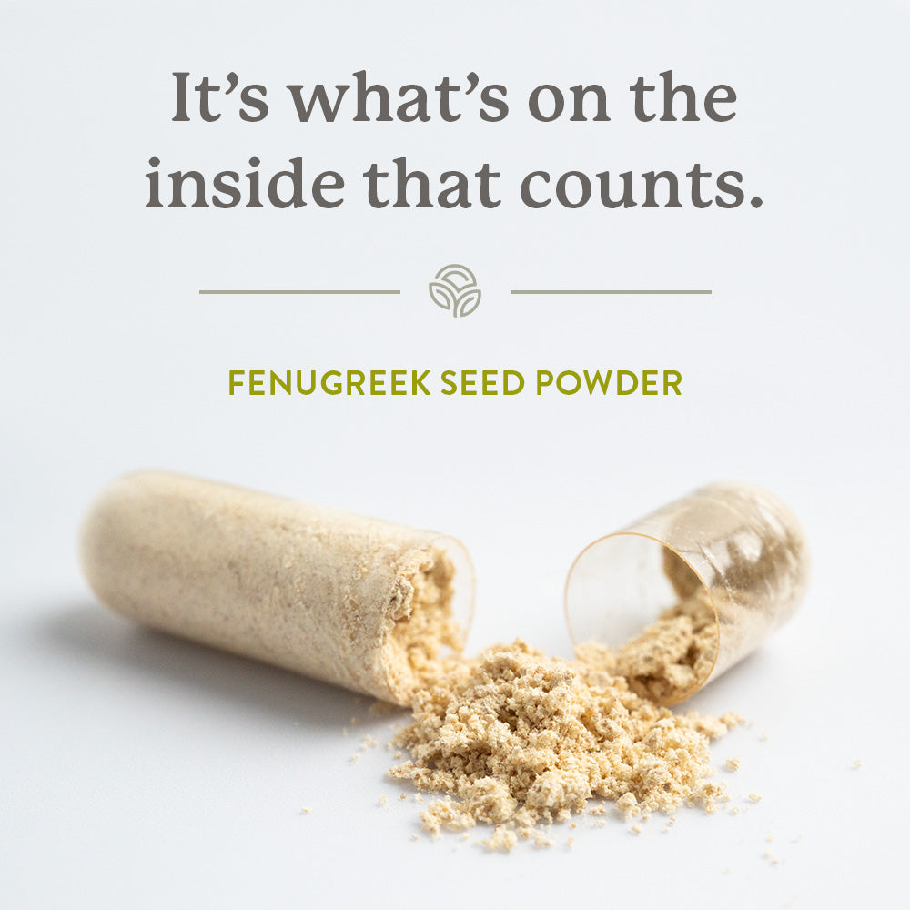 Fenugreek