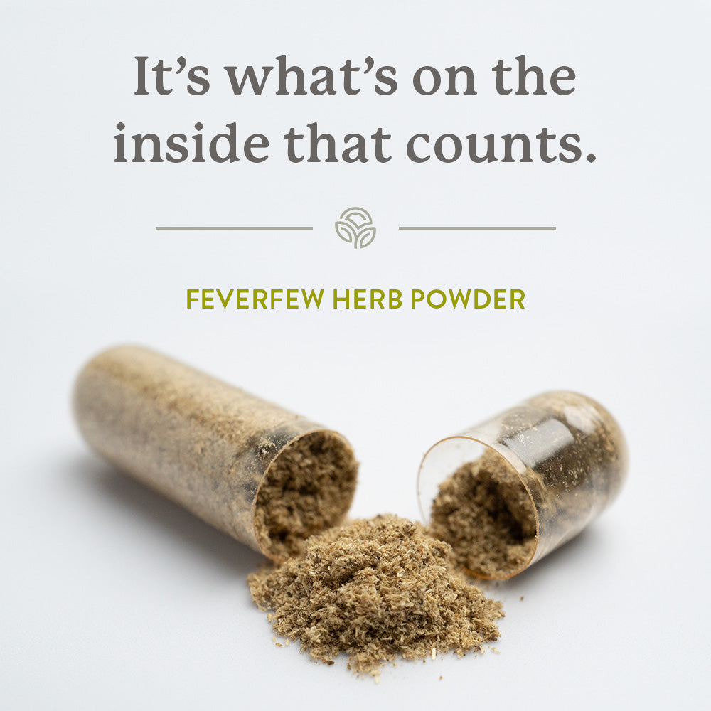 Feverfew