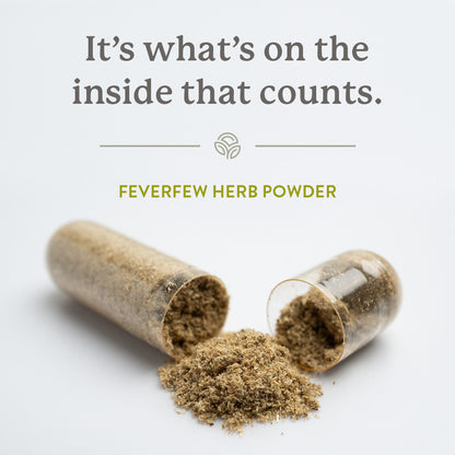 Feverfew