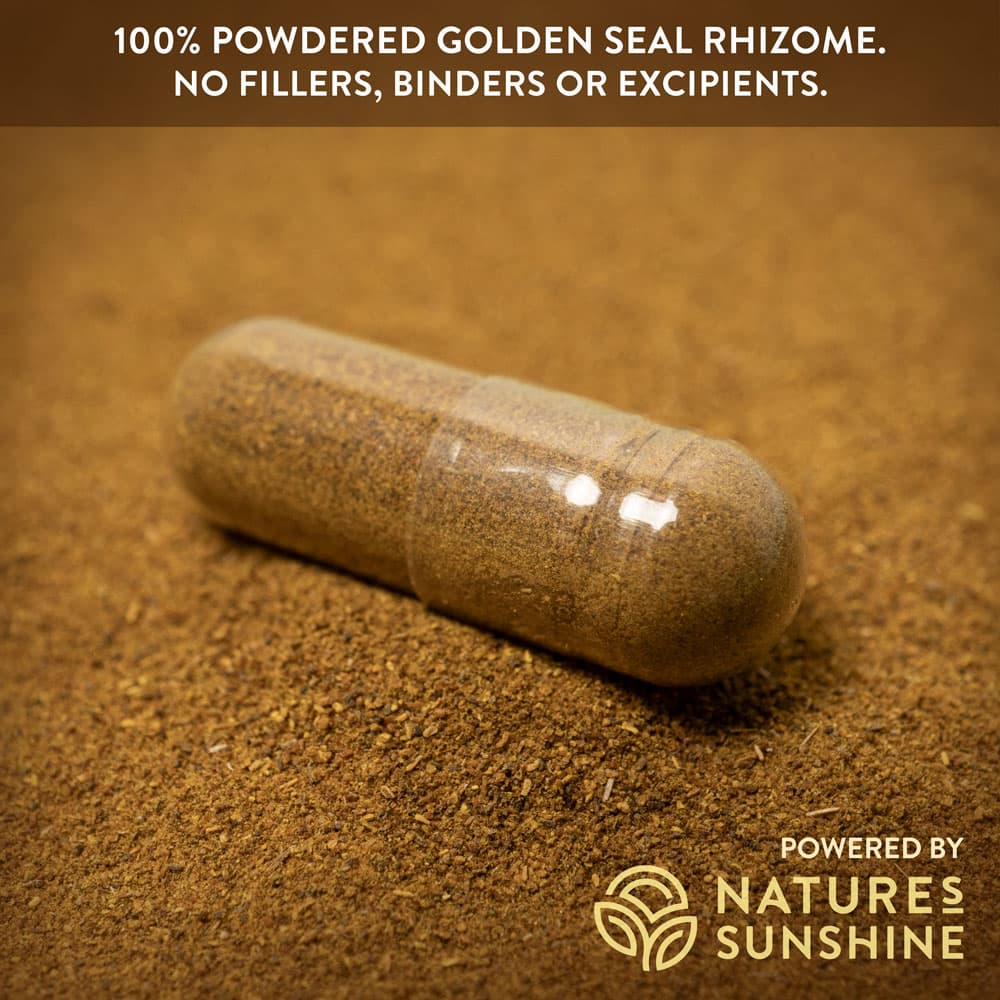 Close up of a single Golden Seal capsule with the caption "100% powdered golden seal rhizome. No fillers, binders or excipients."