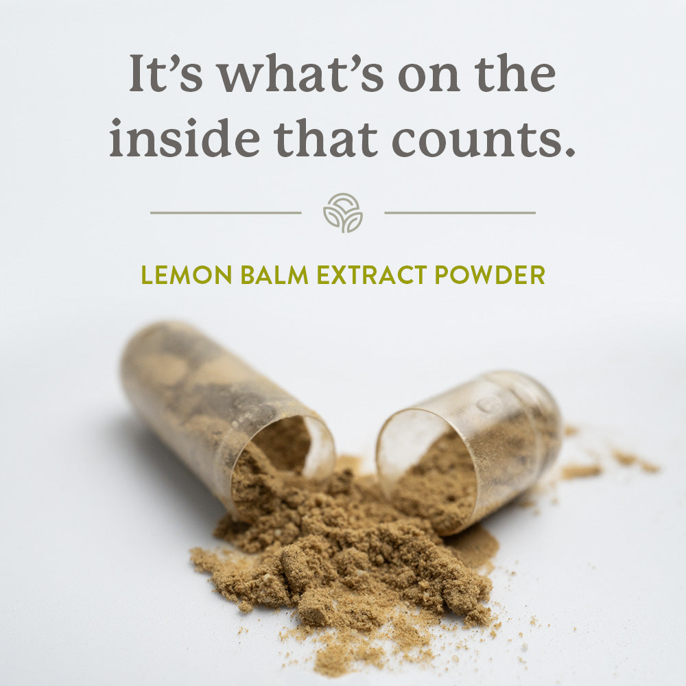 Lemon Balm