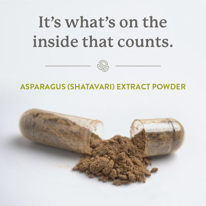 Shatavari 2000