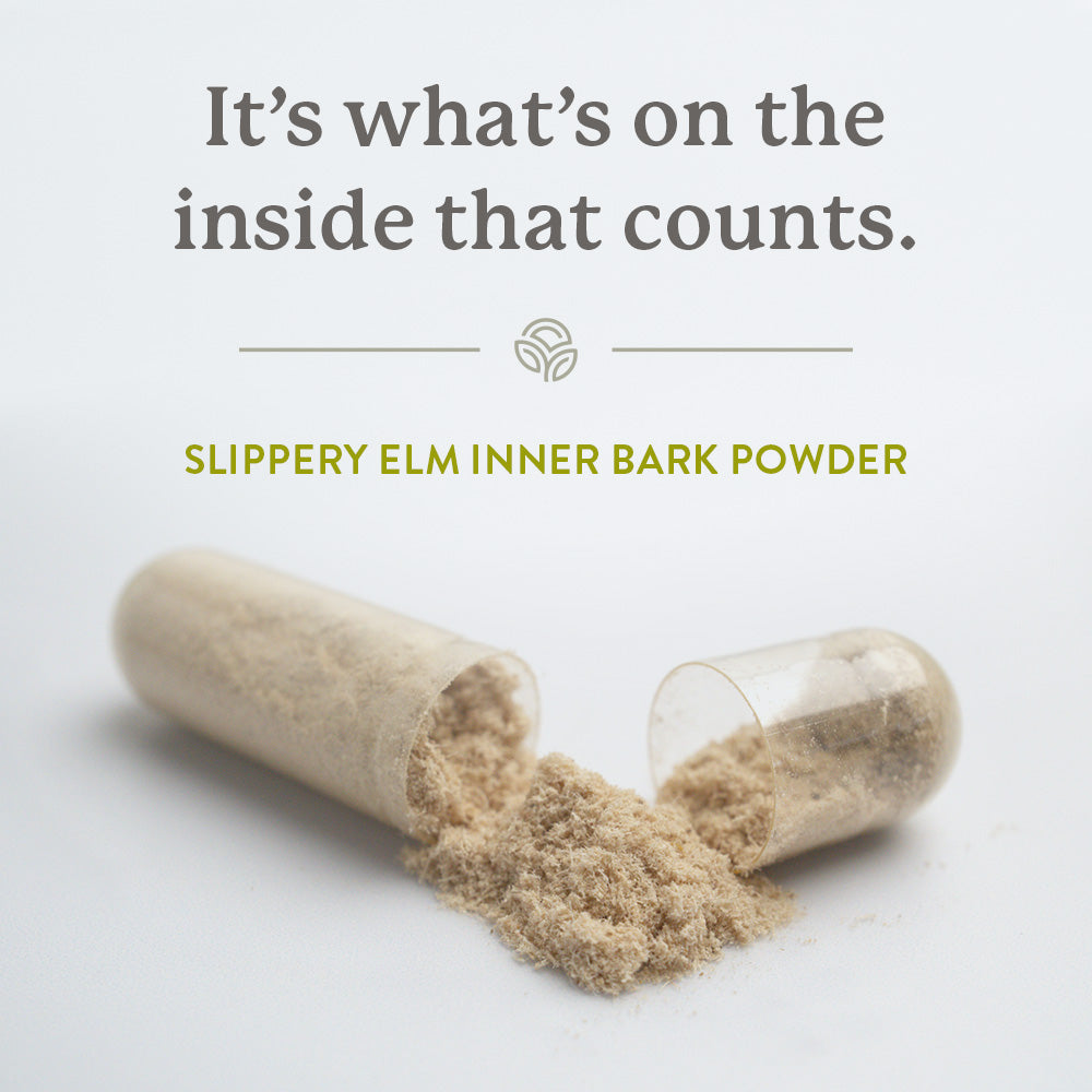 Slippery Elm