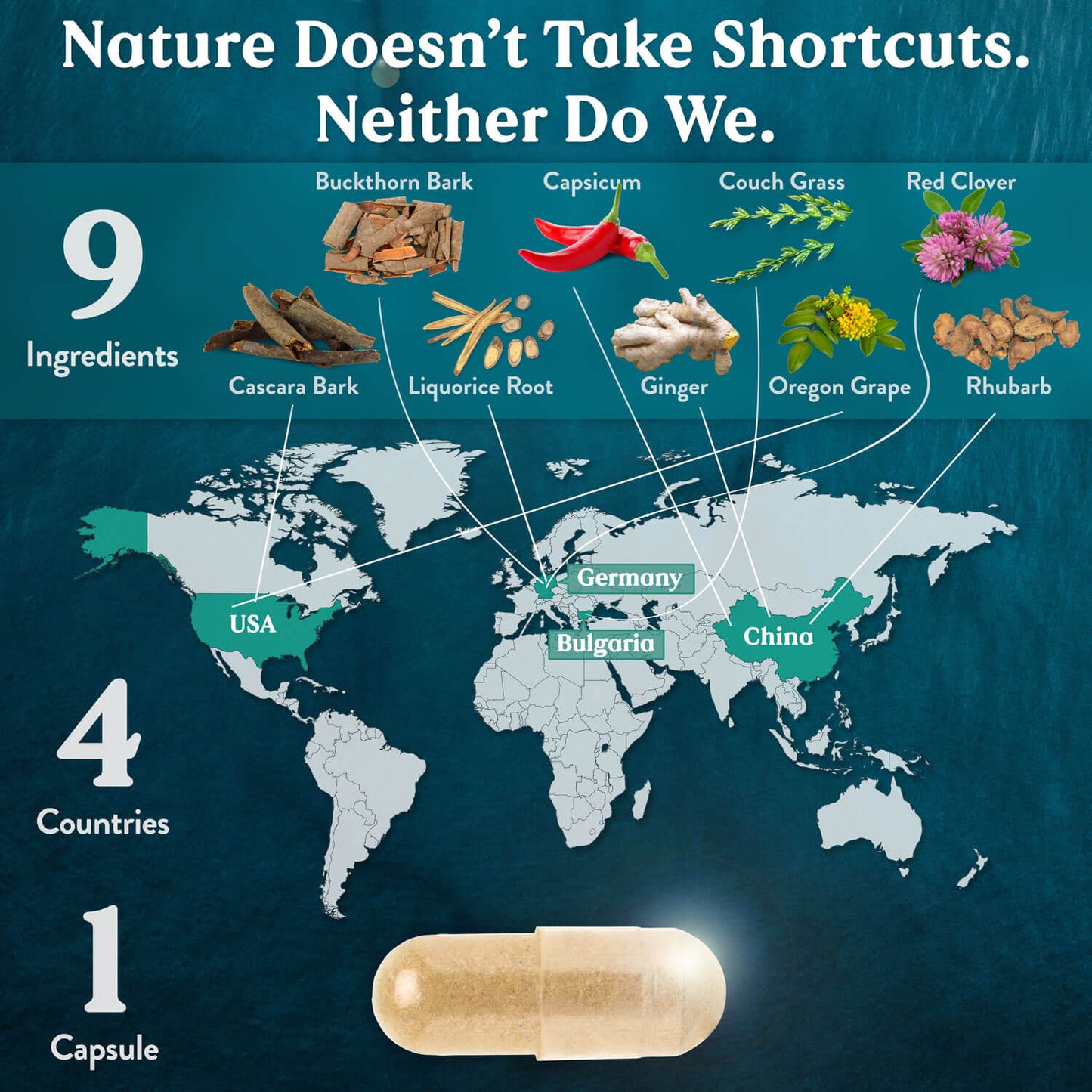 Graphic showing that Lower Bowel Stimulant contains 9 herbs sourced from 4 countries around the world.