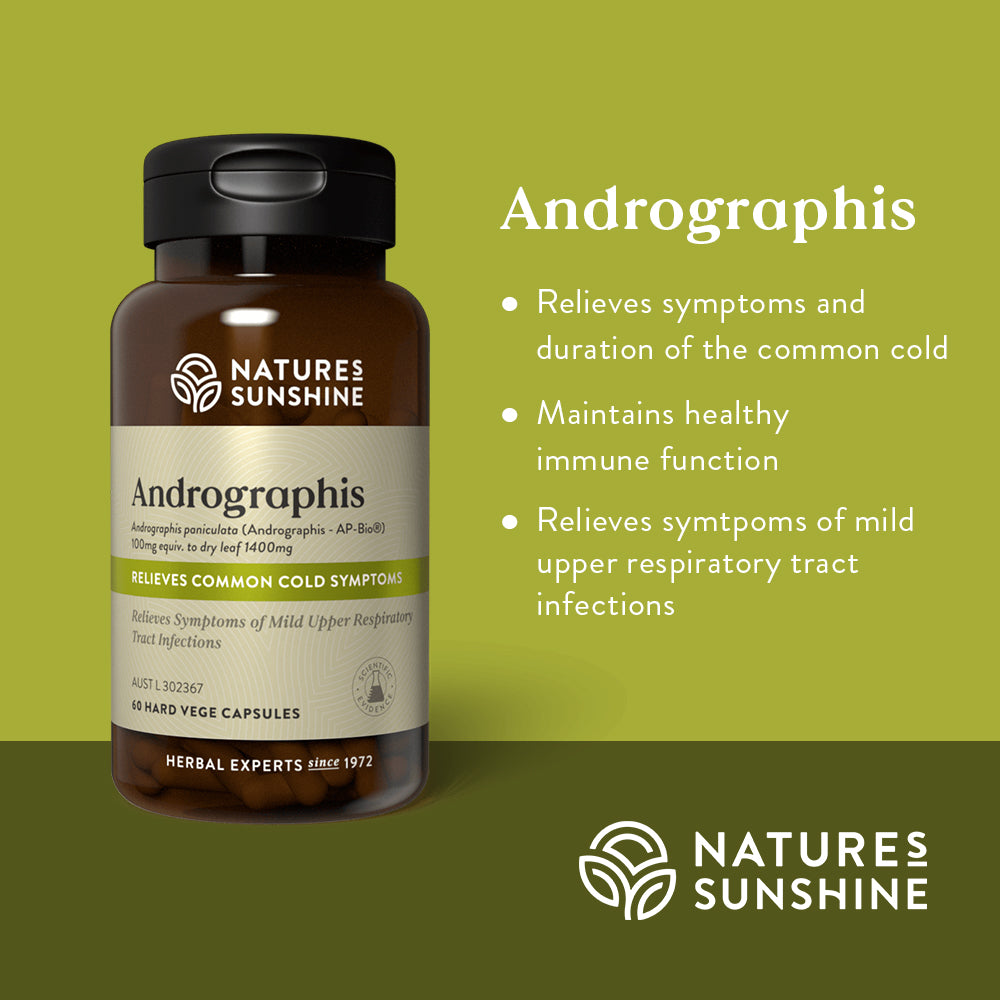 Graphic showing how Nature's Sunshine Andrographis is used to relieve symptoms and duration of the common cold, maintain healthy immune function and relieve symptoms of mild upper respiratory tract infections.