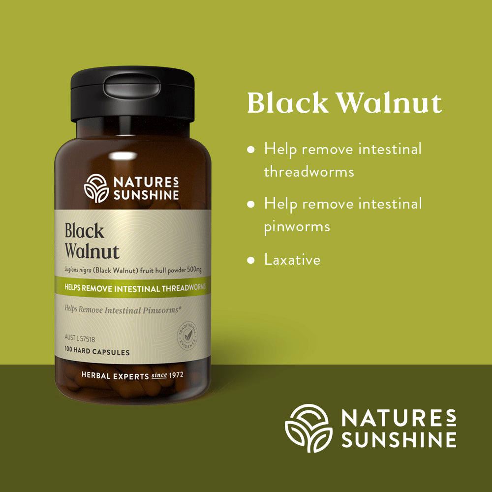 Graphic showing how Nature's Sunshine Black Walnut is traditionally used to help remove intestinal threadworms and intestinal pinworms. It is also a traditional laxative.