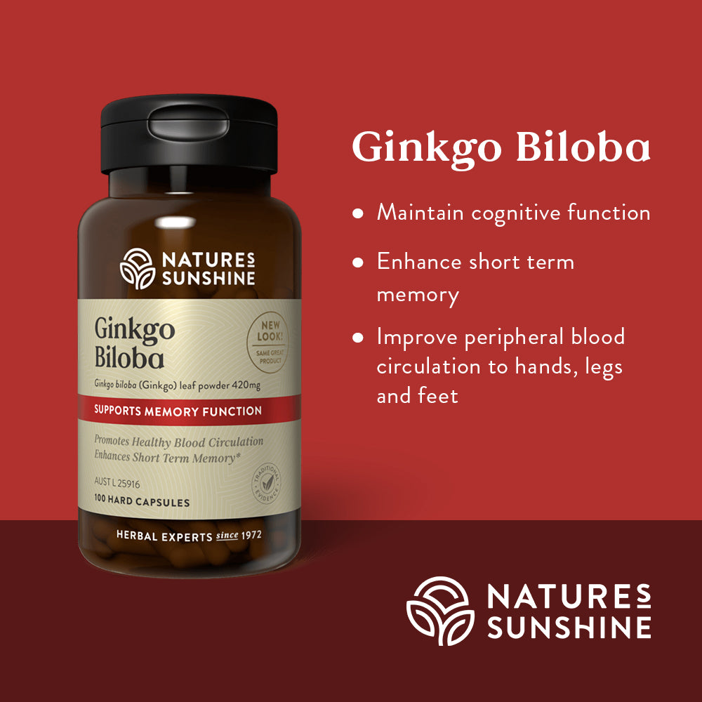 Graphic showing how Nature's Sunshine Ginkgo Biloba is traditionally used to maintain cognitive function, enhance short term memory and improve peripheral blood circulation to hands, legs and feet.
