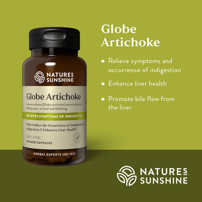 Graphic showing how Nature's Sunshine Globe Artichoke is traditionally used to relieve symptoms and occurrence of indigestion, enhance liver health and promote bile flow from the liver.