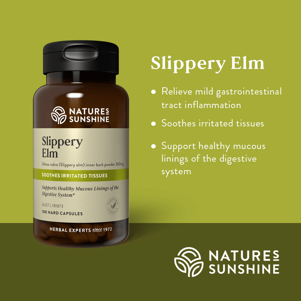 Graphic showing how Nature's Sunshine Slippery Elm can help relieve mild gastrointestinal tract inflammation, soothe irritated tissues and support healthy mucous linings of the digestive system.