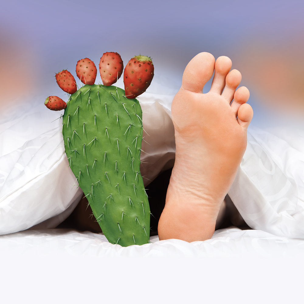 A cactus shaped like a foot next to a regular foot.