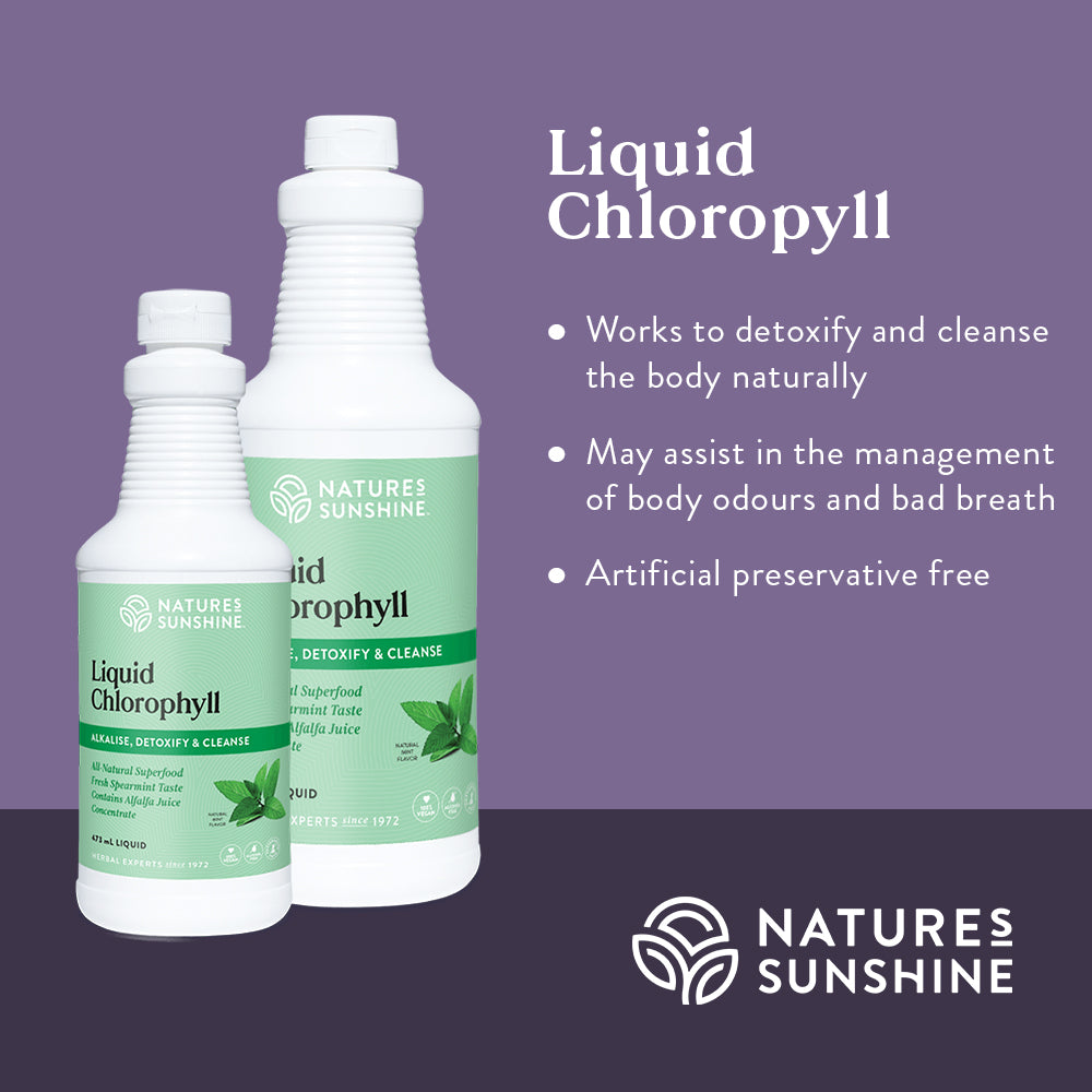 Graphic showing how Nature's Sunshine Liquid Chlorophyll works to detoxify and cleanse the body naturally with no added preservatives.